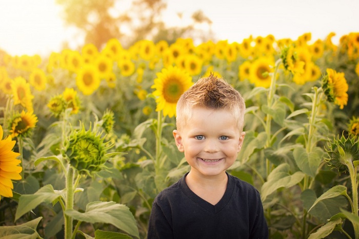 Copil vesel in lan de floarea soarelui