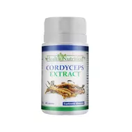 CORDYCEPS EXTRACT, 60 tablete, Health Nutrition-picture