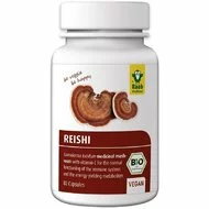 Reishi extract bio 400mg, 80 capsule vegane RAAB-picture